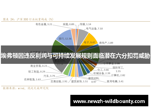 埃弗顿因违反利润与可持续发展规则面临潜在六分扣罚威胁 埃弗顿因违反利润与可持续发展规则面临潜在六分扣罚威胁