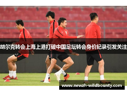 胡尔克转会上海上港打破中国足坛转会身价纪录引发关注 胡尔克转会上海上港打破中国足坛转会身价纪录引发关注