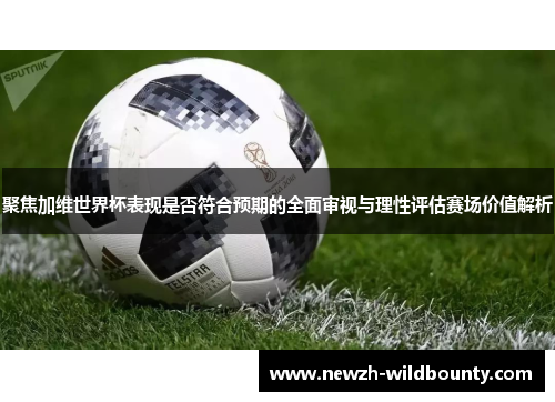 聚焦加维世界杯表现是否符合预期的全面审视与理性评估赛场价值解析