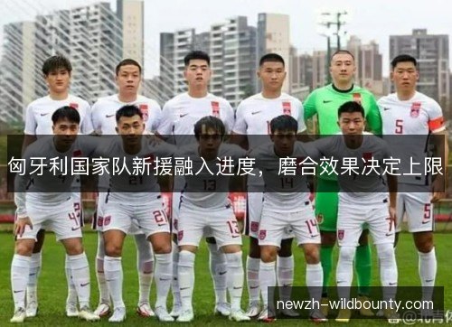 匈牙利国家队新援融入进度，磨合效果决定上限
